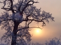 Landscape - Sunrise2
