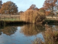 pond2
